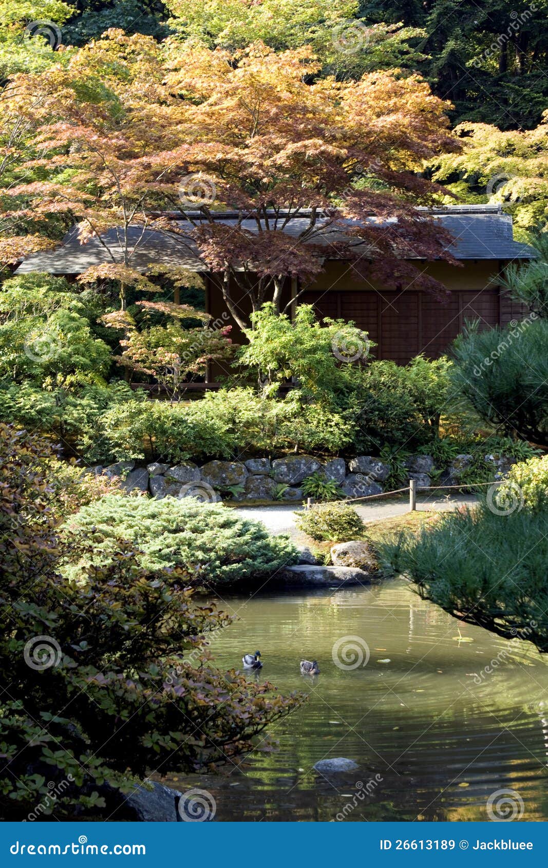 House in Japanese garden stock image. Image of summer - 26613189