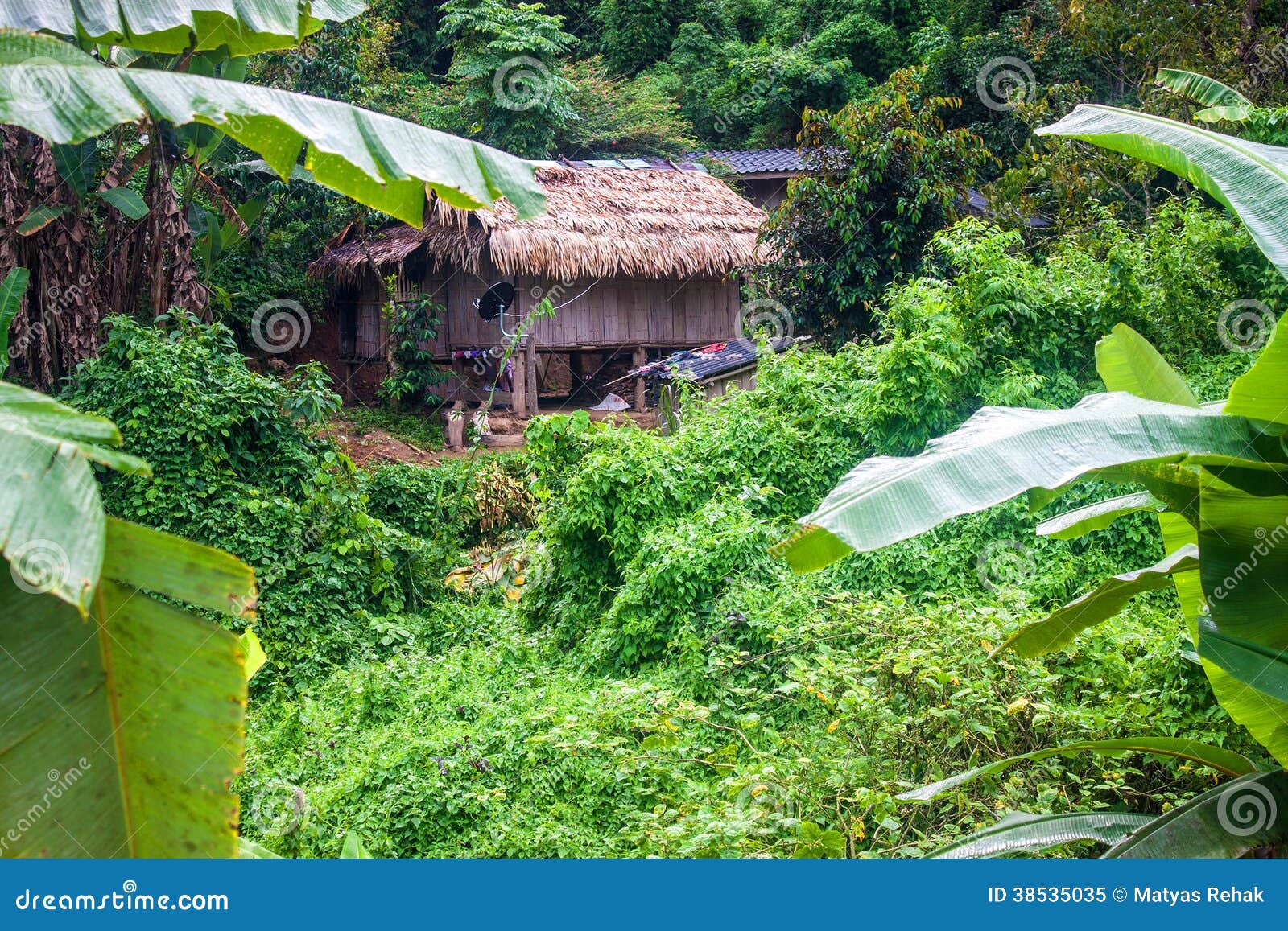 House in a jungle stock image. Image of asia, nature 38535035
