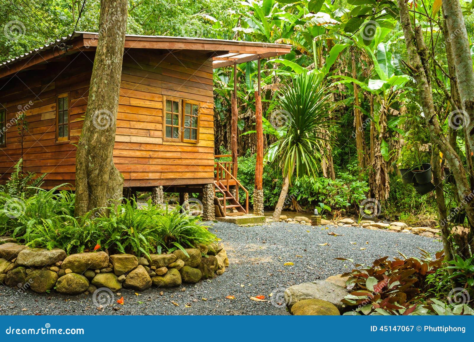 House in jungle and stream stock image. Image of wild 45147067