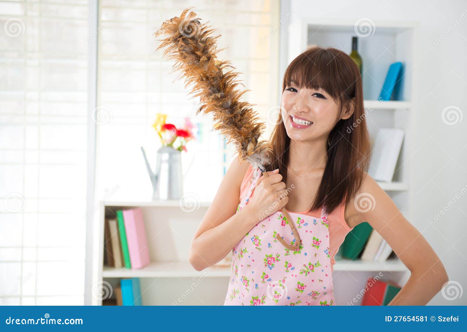 House keeping stock image. Image of housewife, attractive 27654581