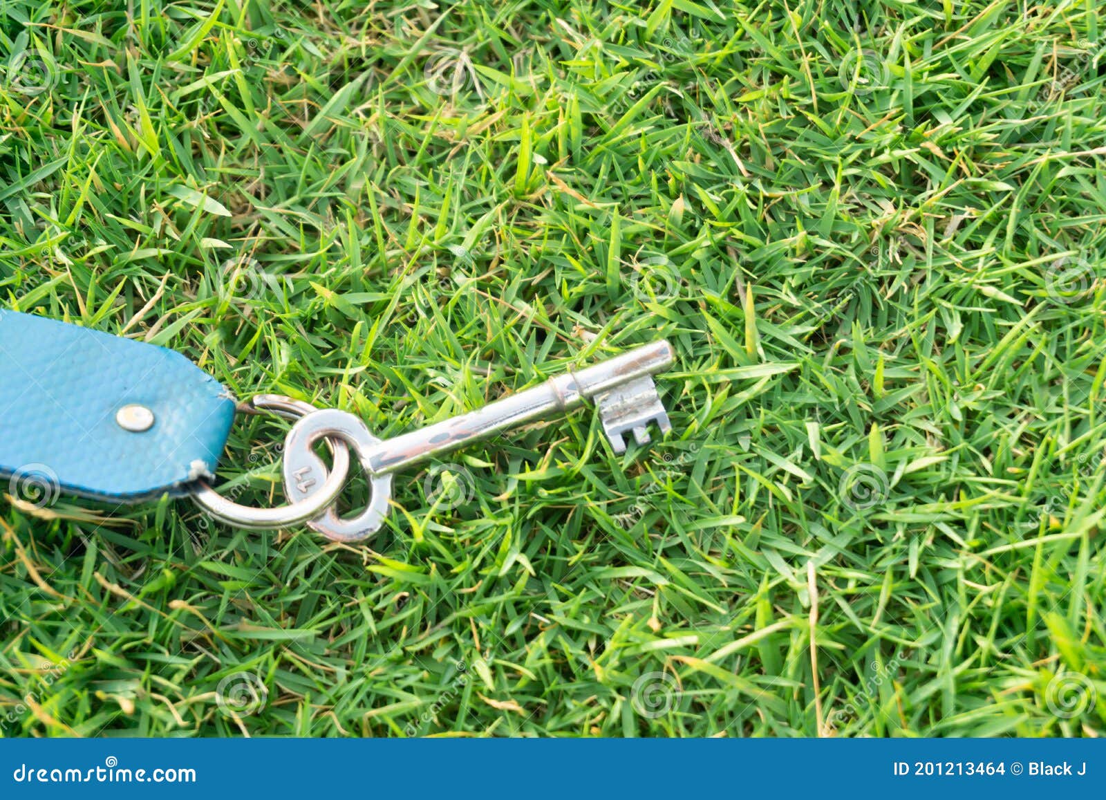 The House Key and the Blue Tag are on the Green Grass Stock Photo