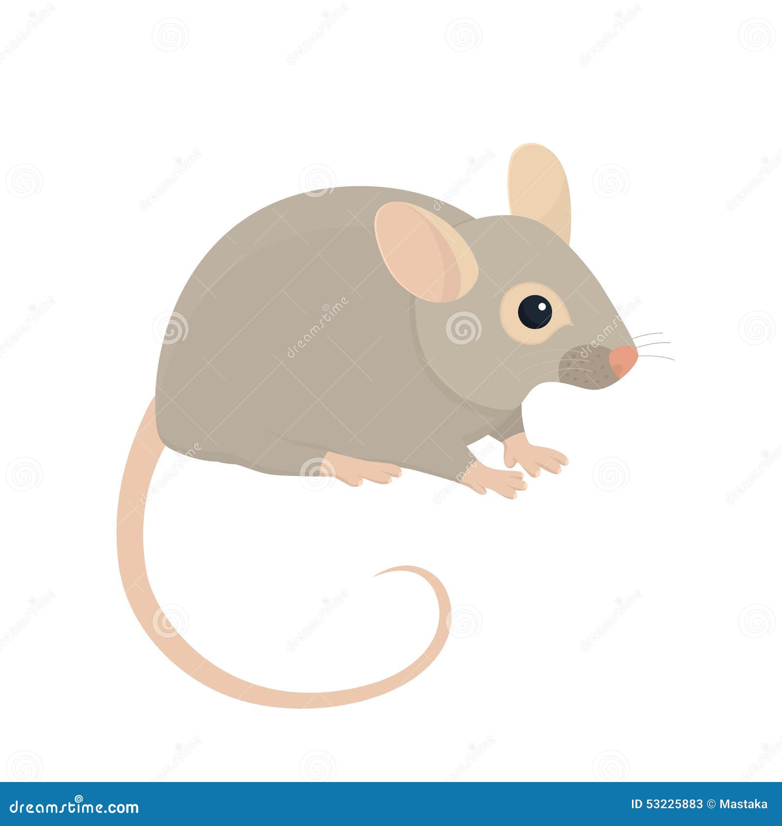 House Mouse stock vector. Illustration of cartoon, mouse 53225883