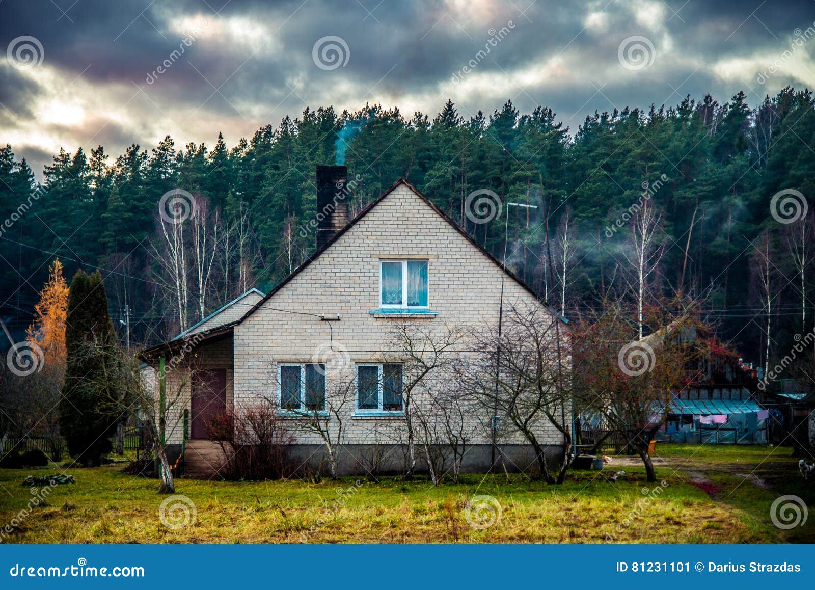 House near forest stock image. Image of nature, cloud 81231101