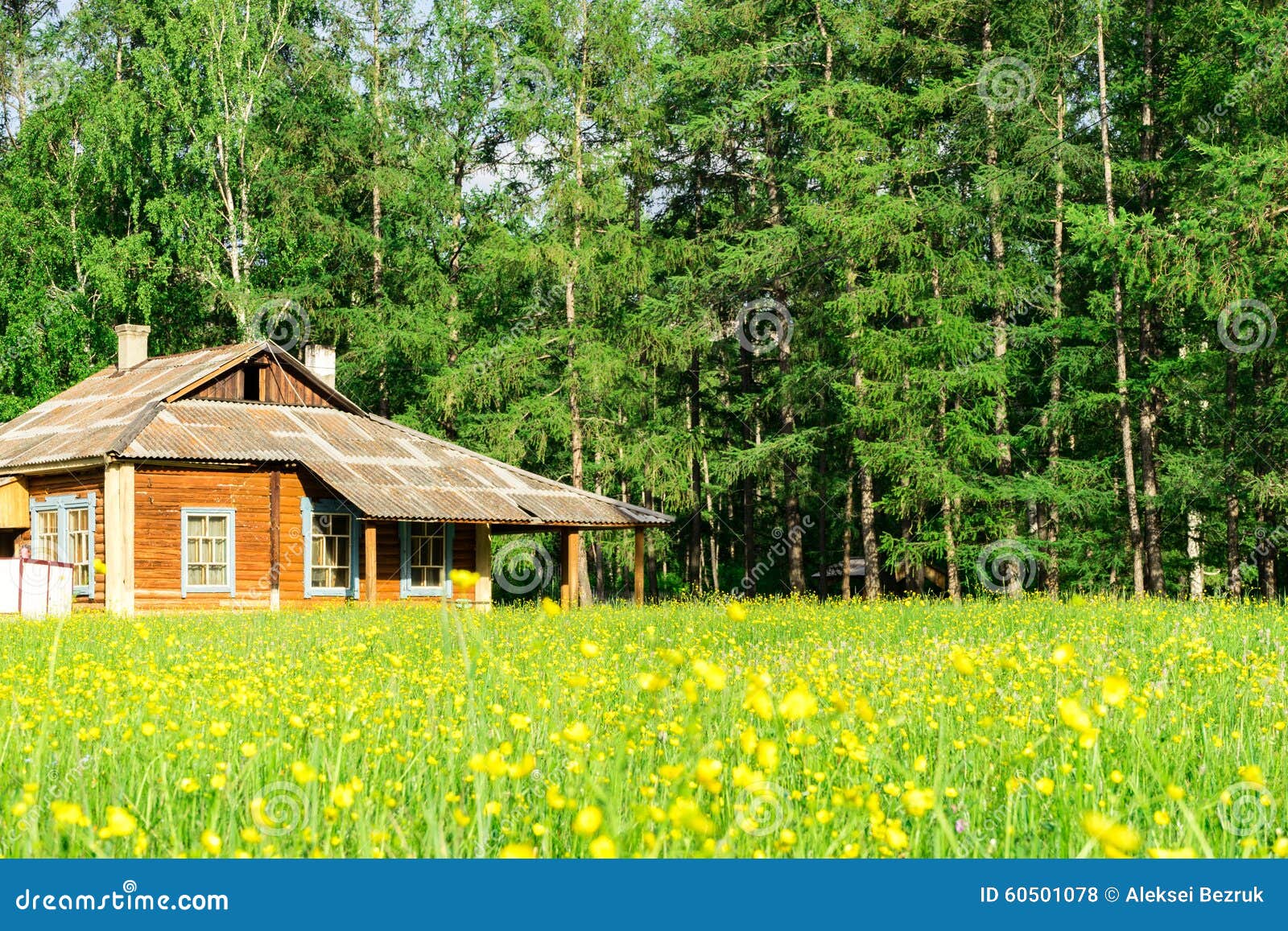 House near the forest stock photo. Image of meadow, farmhouse 60501078