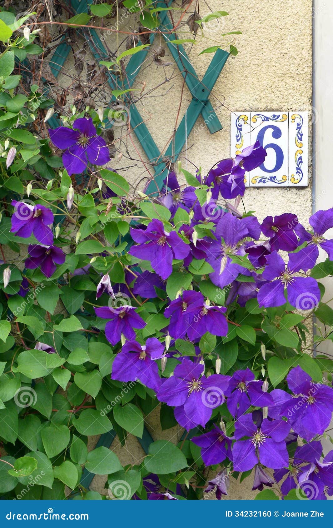 House Number 6 & Purple Flowers Stock Photo - Image: 34232160