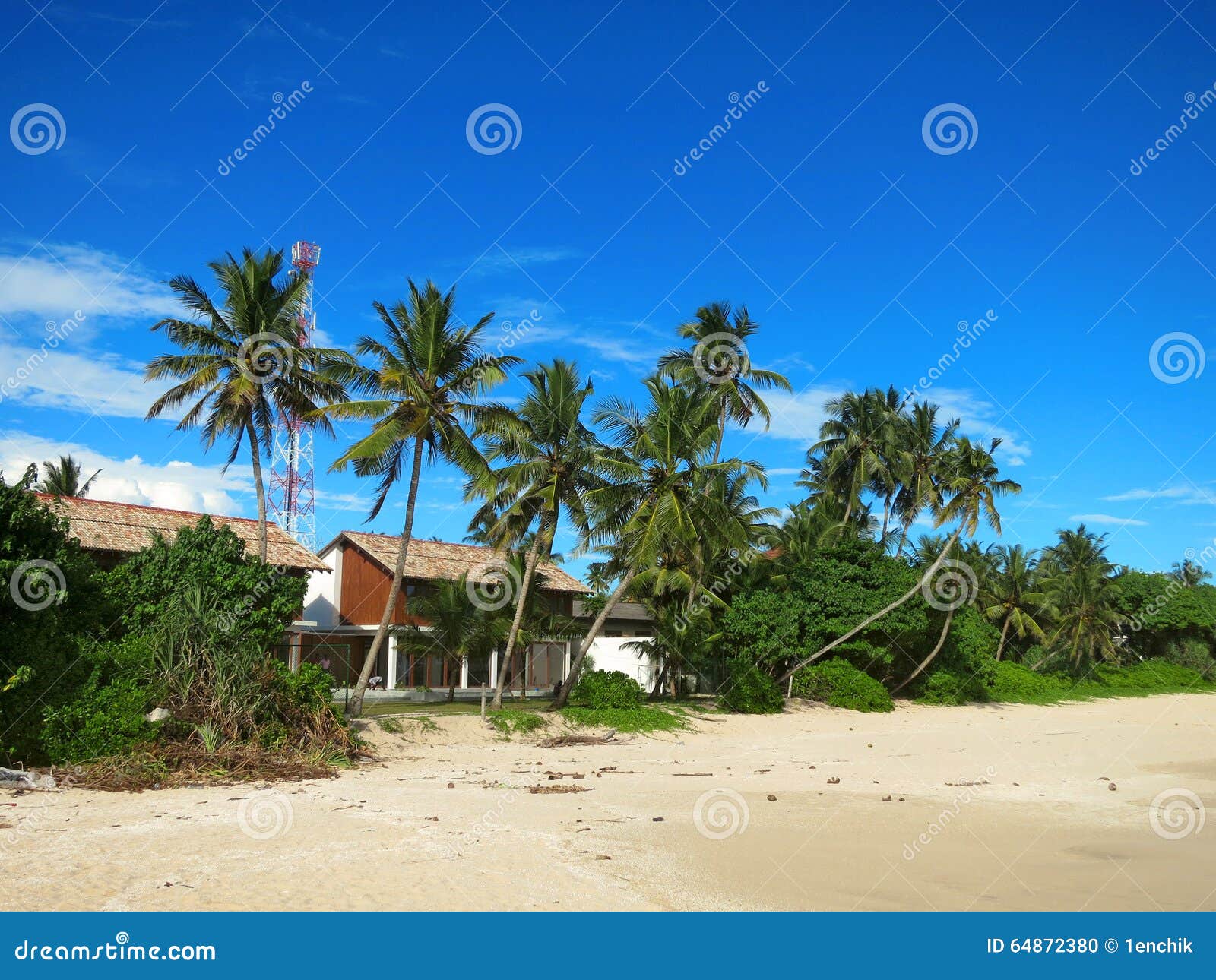 House between Palm Trees at the Beach Stock Photo Image of paradise