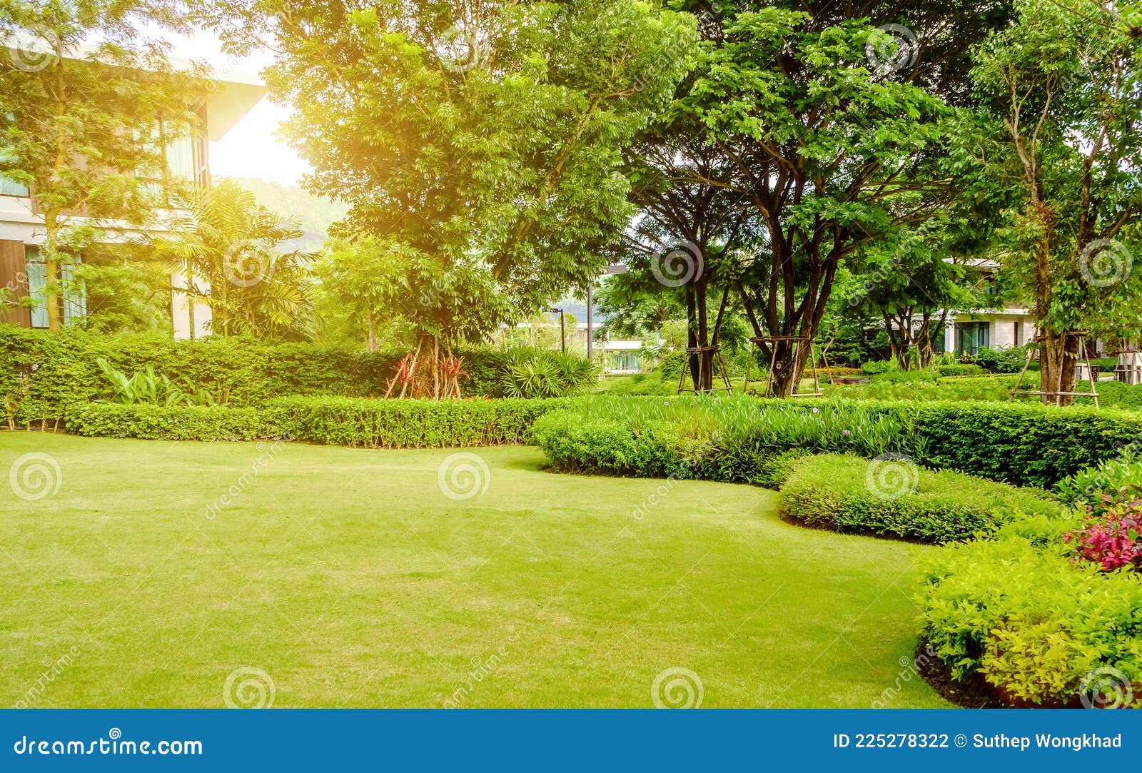House in the Park, Green Lawn, Front Yard is Beautifully Designed Garden,  Flowers in the Garden, Green Grass. Stock Photo - Image of beautiful, dawn:  225278322