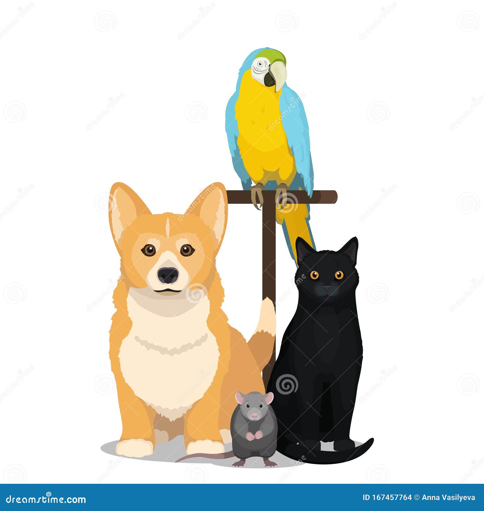 House Pets Vector Illustration. Cat, Dog, Parrot and Mouse Isolated on  White, Domesticated Animal Stock Vector - Illustration of cute, cheerful:  167457764