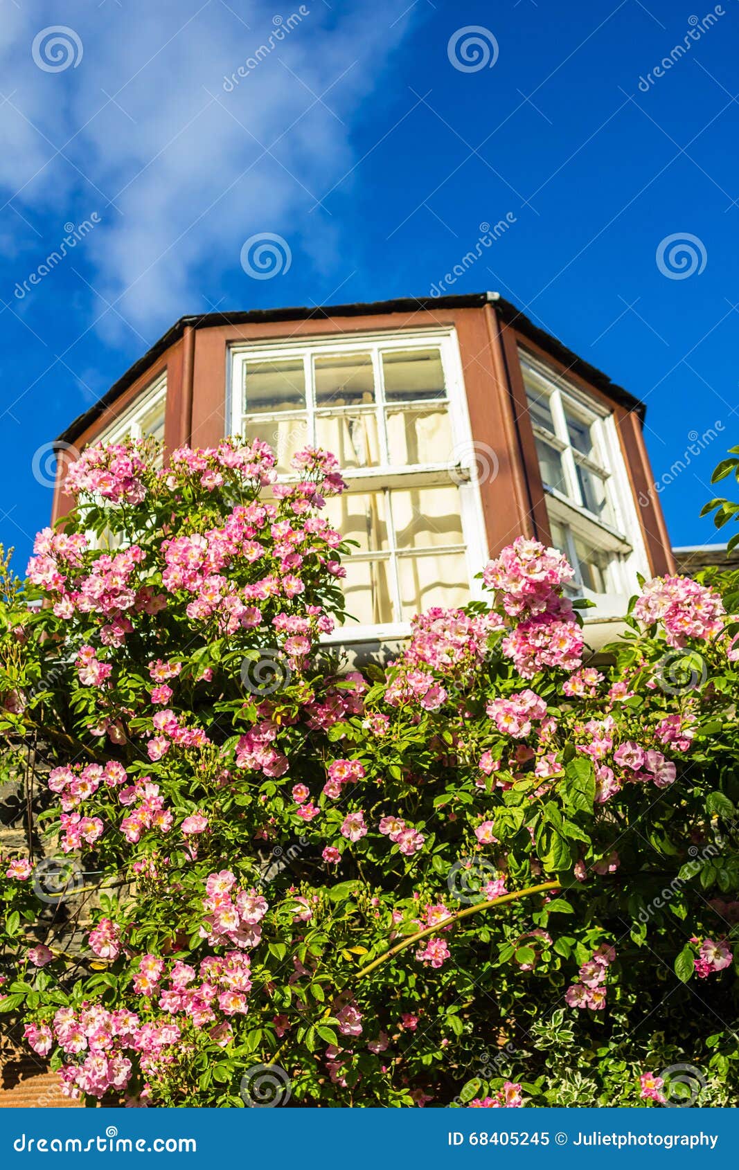 A House with Pink Climbing Roses Stock Image Image of rose, entrance