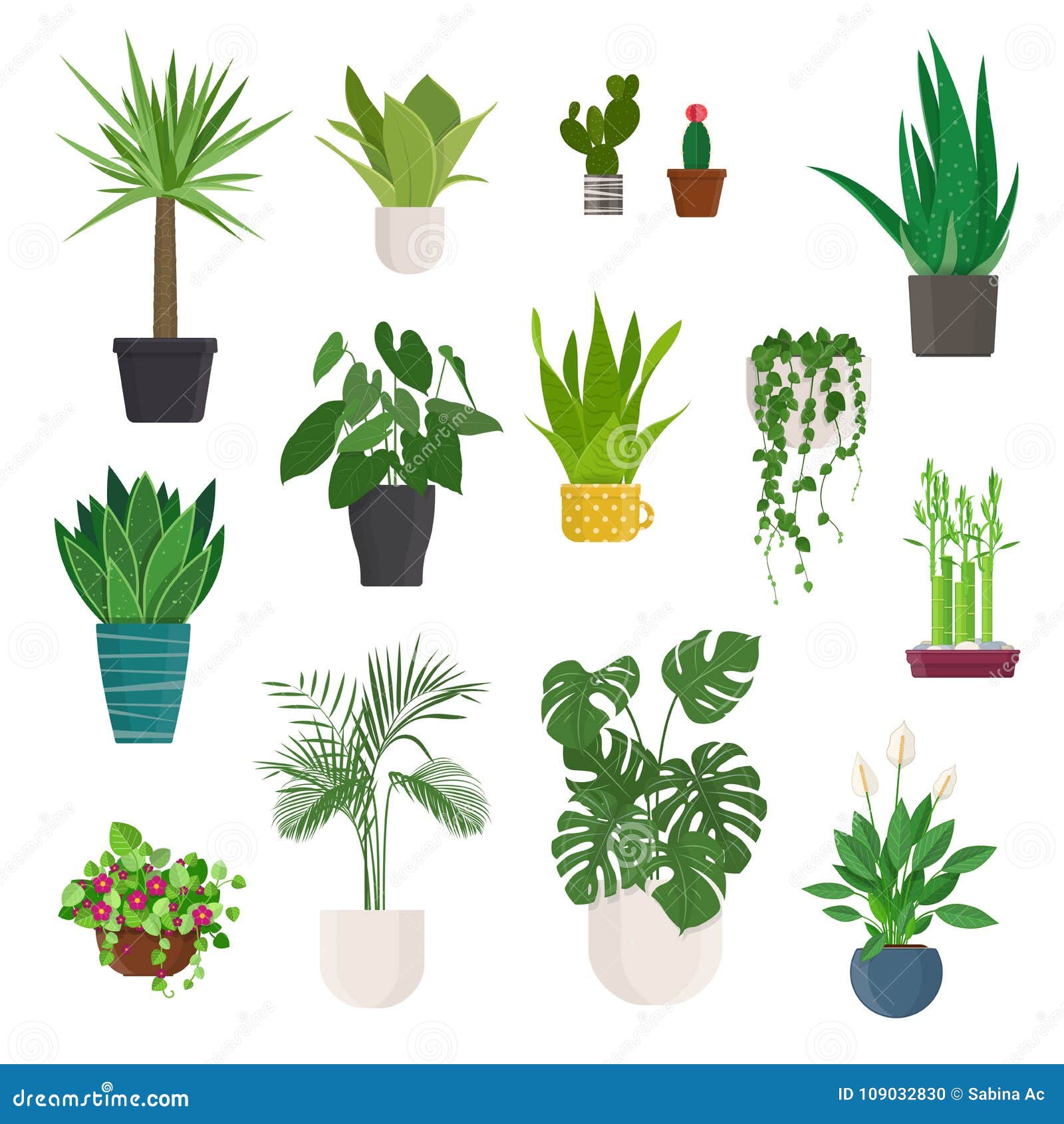 House Plant and Flowers in Pots. Raster Version Stock Illustration