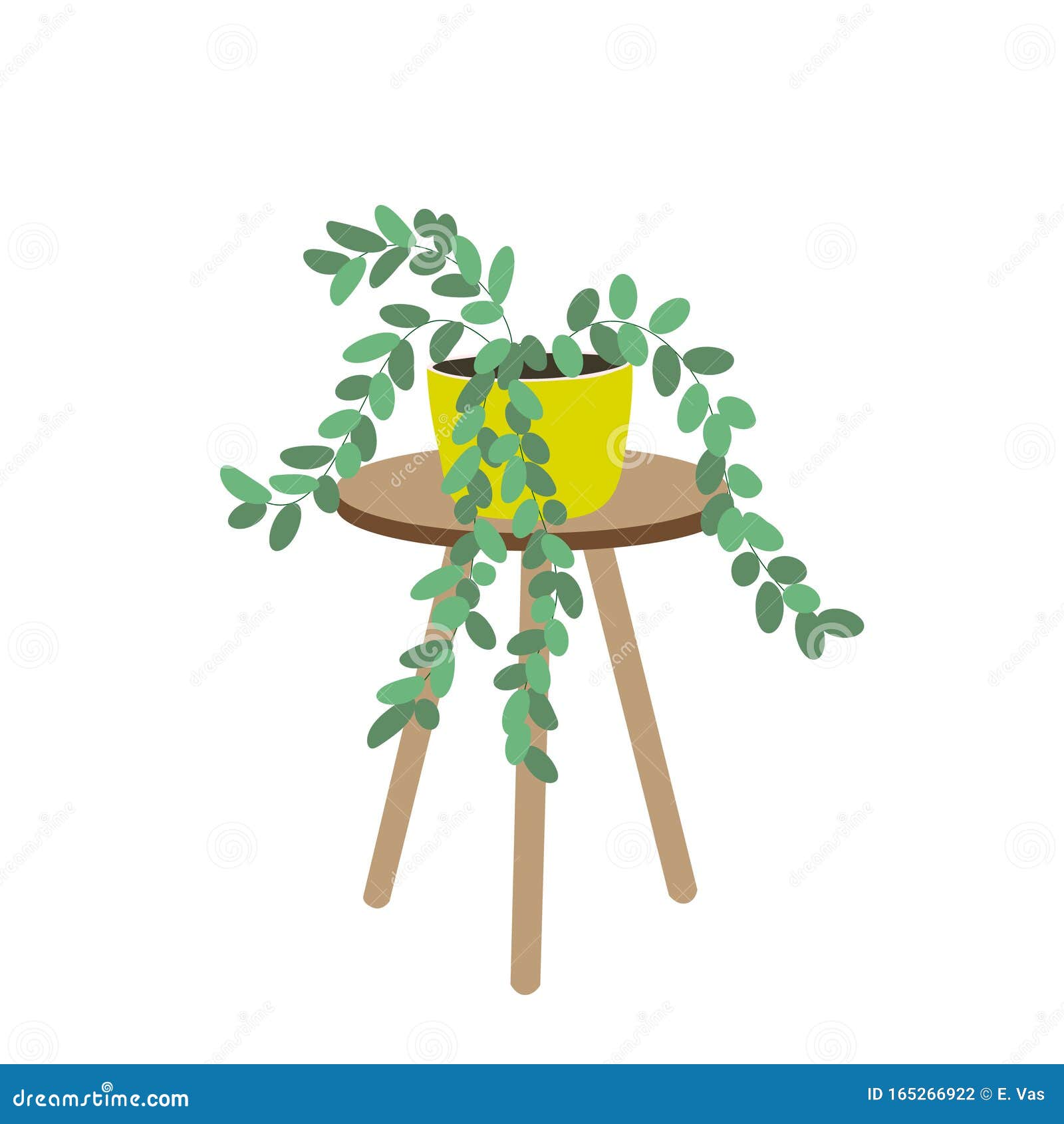 house plant on the table  on white background. potted plants. stock   in flat style