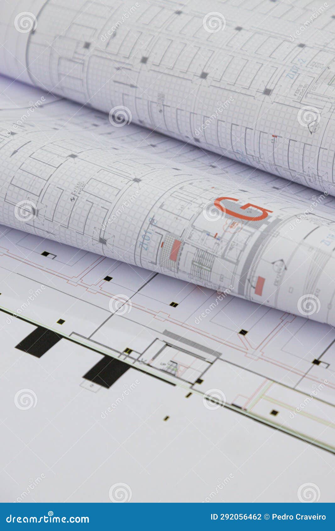 House Plants on Papper Sketch Stock Photo Image of drawing papper