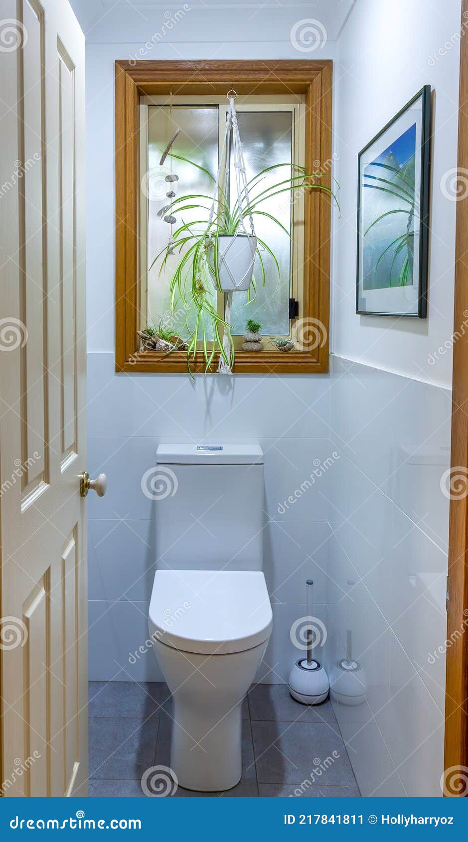 House Plants and Shells Decorating a Small Bathroom Window in ...