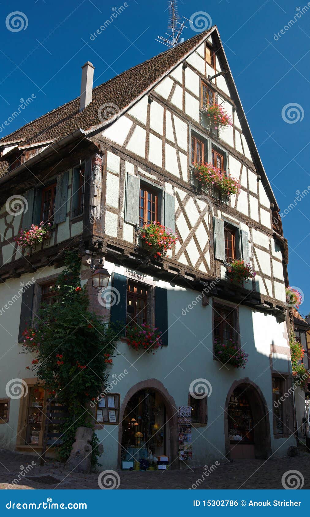 house in riquewihr