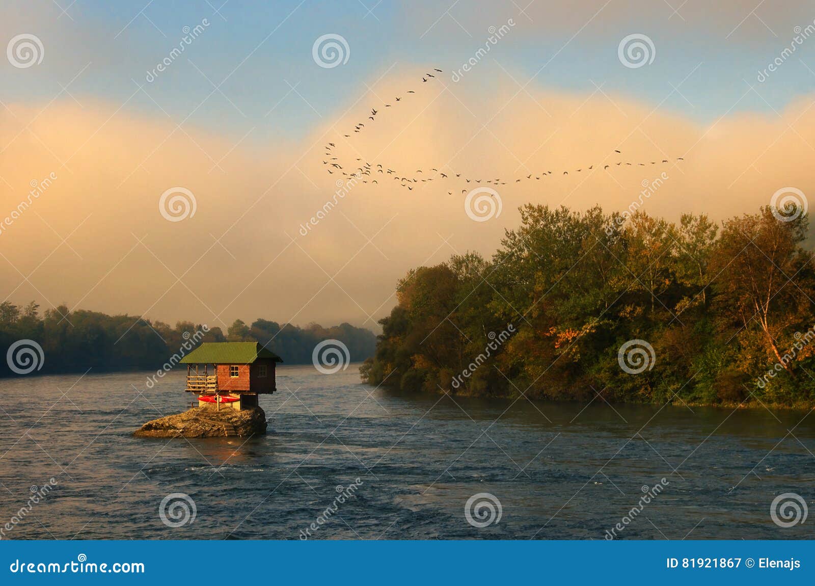 house in river drina near bajina basta and flock of flying birds, western serbia