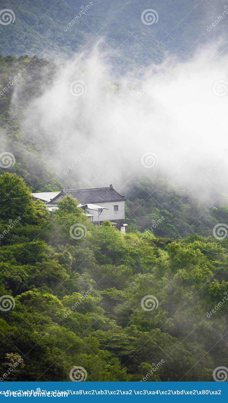 The House on the Top of Mountain Stock Image Image of forest, home 149925963