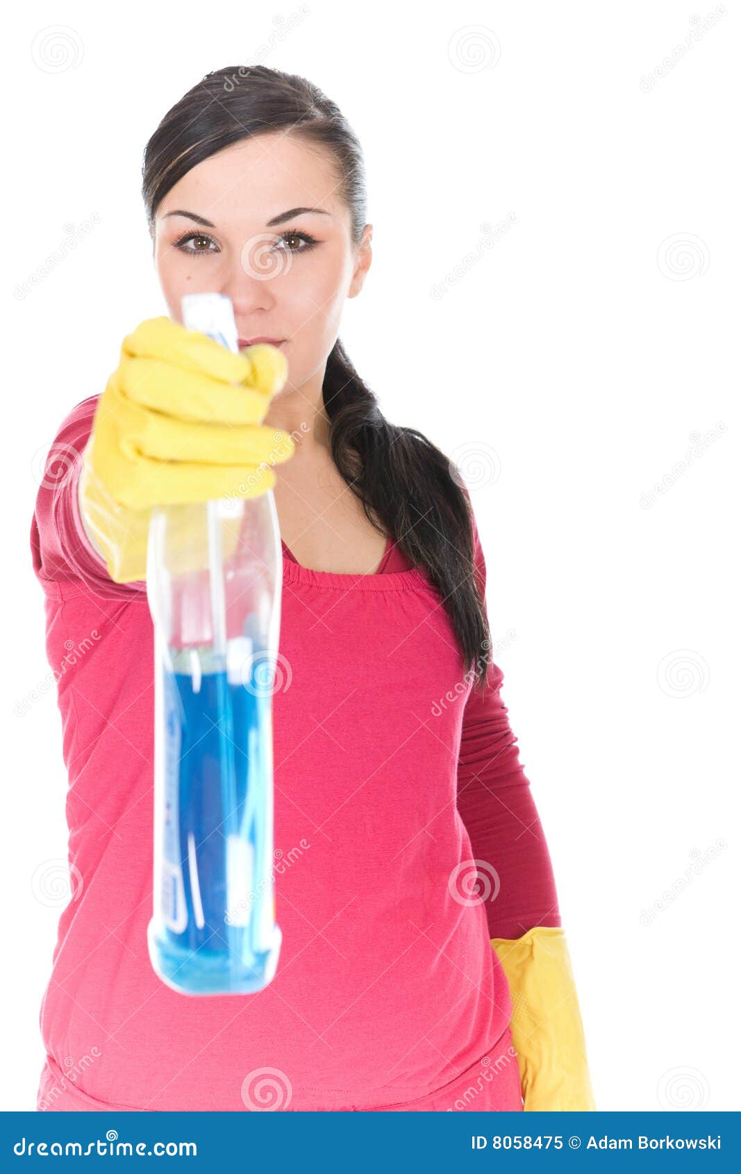 House working stock image. Image of blinkers, clean, floor 8058475