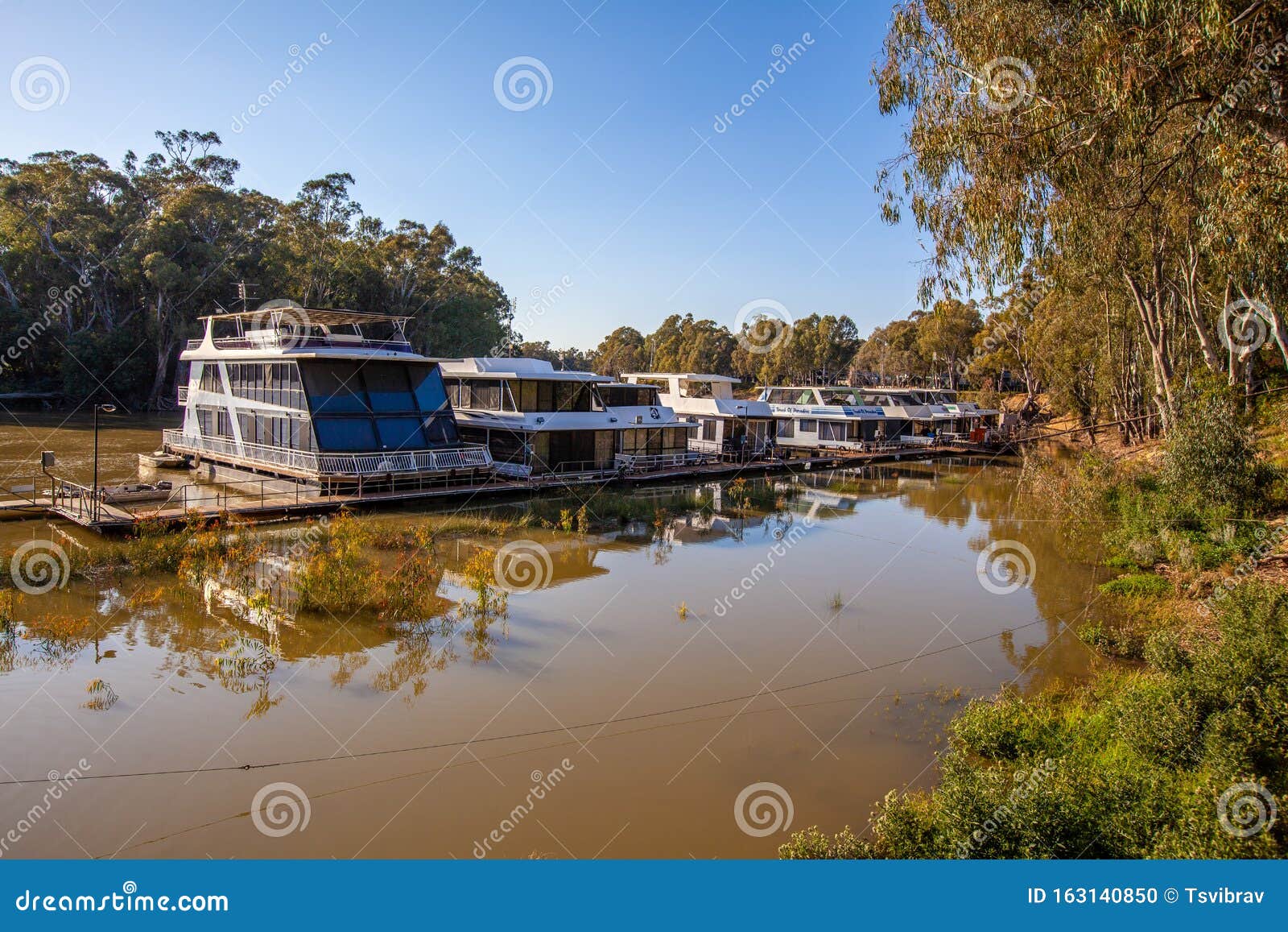 Houseboats for Rent Moored on Murray River Editorial Image Image of