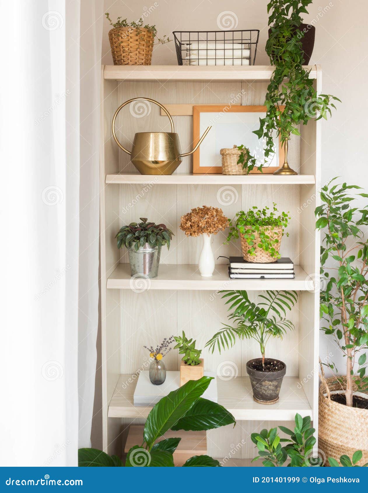 Houseplants and Home Decor on Wooden Shelves Stock Image - Image ...
