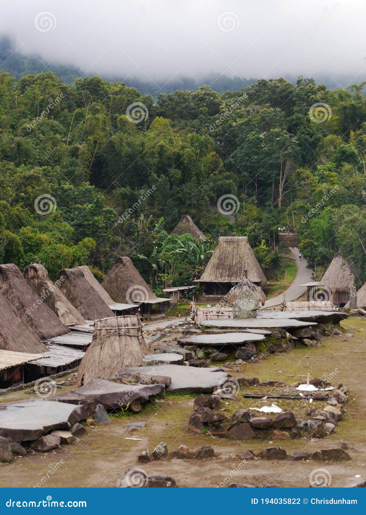 houses of bena traditional village in jungle, flores island, indonesia