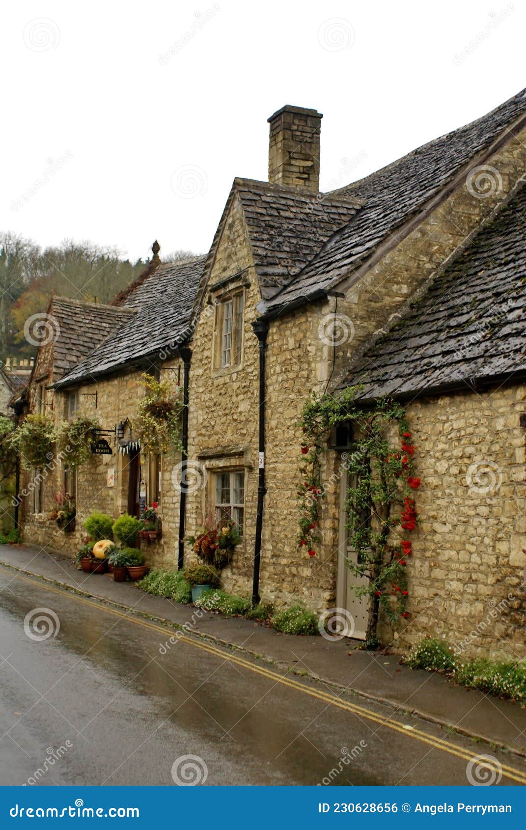 Houses in Castle Coombe stock photo. Image of plant 230628656