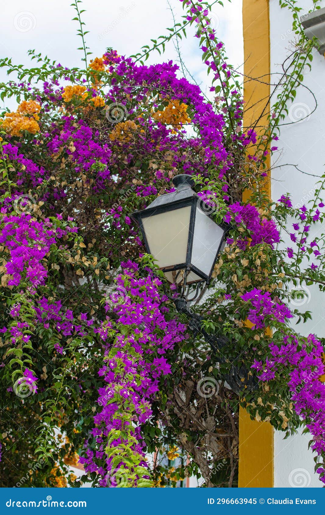 houses with flowers and a lantern in the spanish town of puerto de mogan