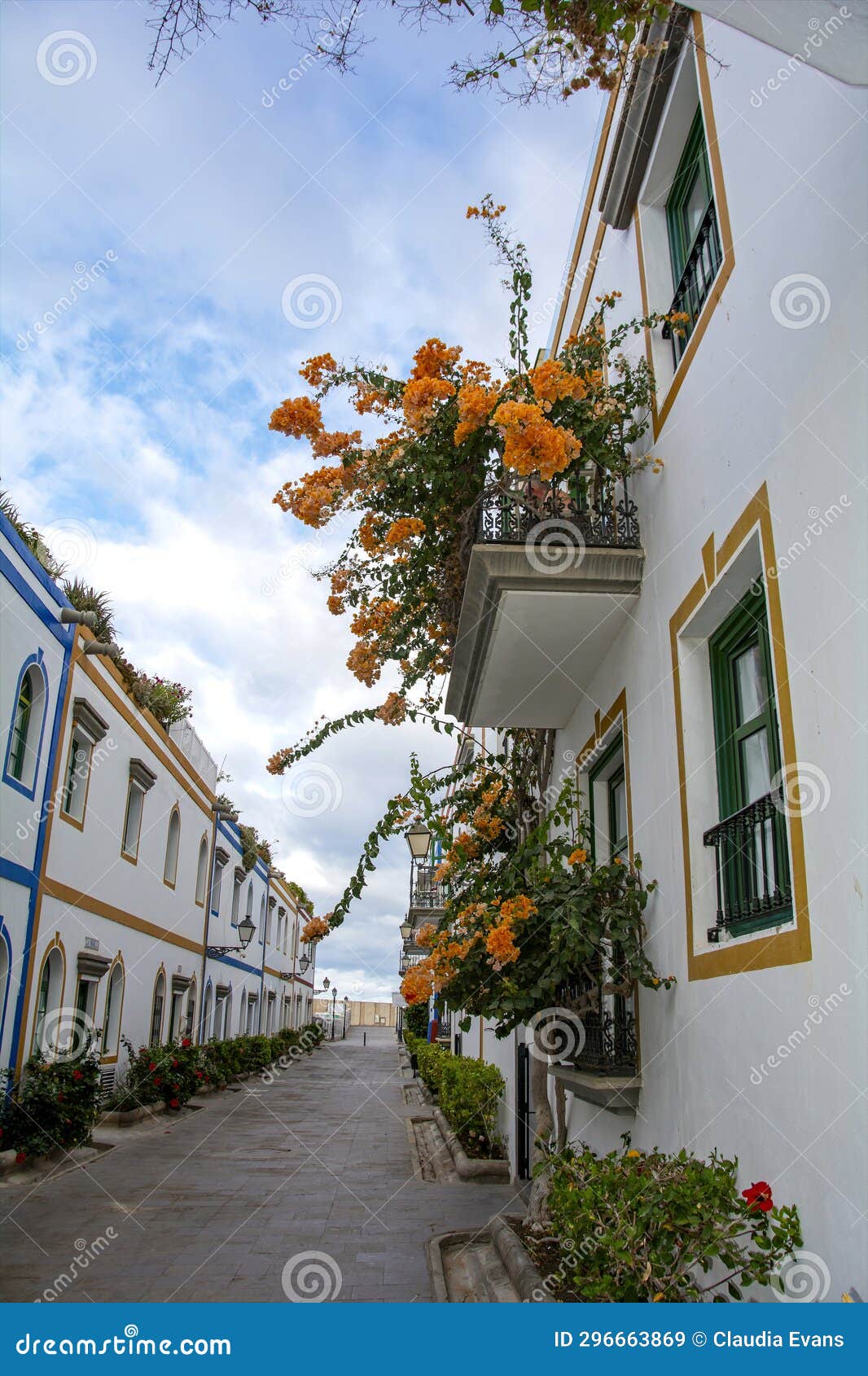 houses with flowers in the spanish town of puerto de mogÃÂ¡n