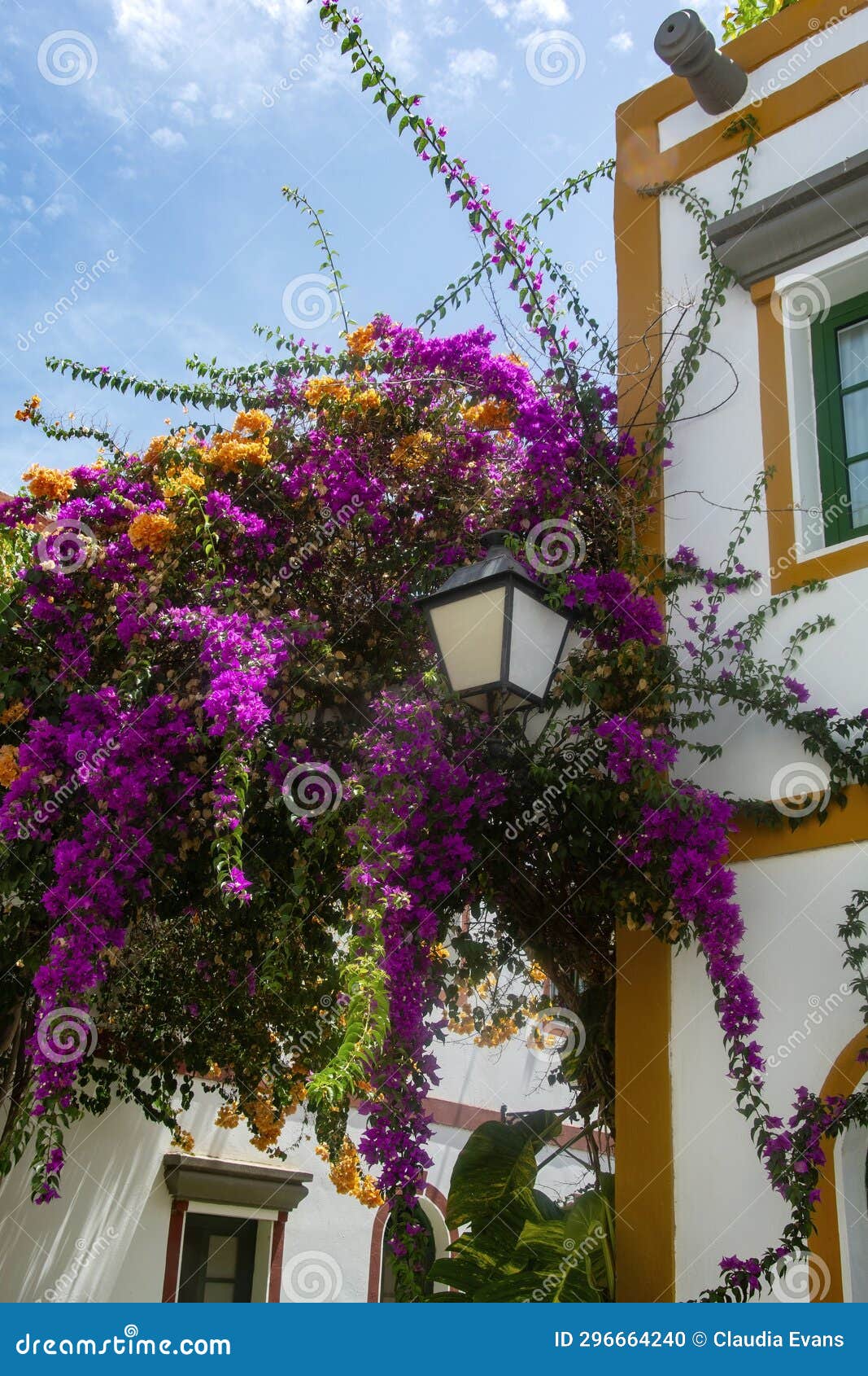 houses with flowers in the spanish town of puerto de mogan