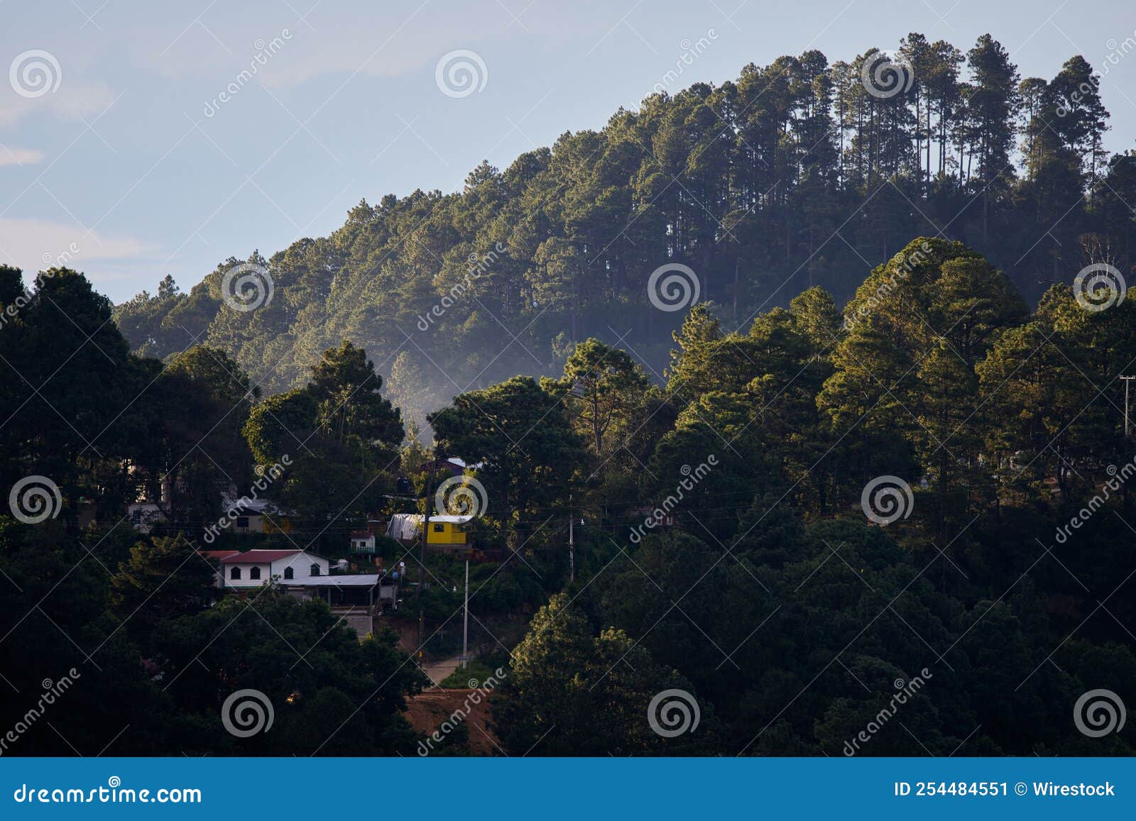 houses are surrounded by dense trees under the blue sky in san jose del pacifico
