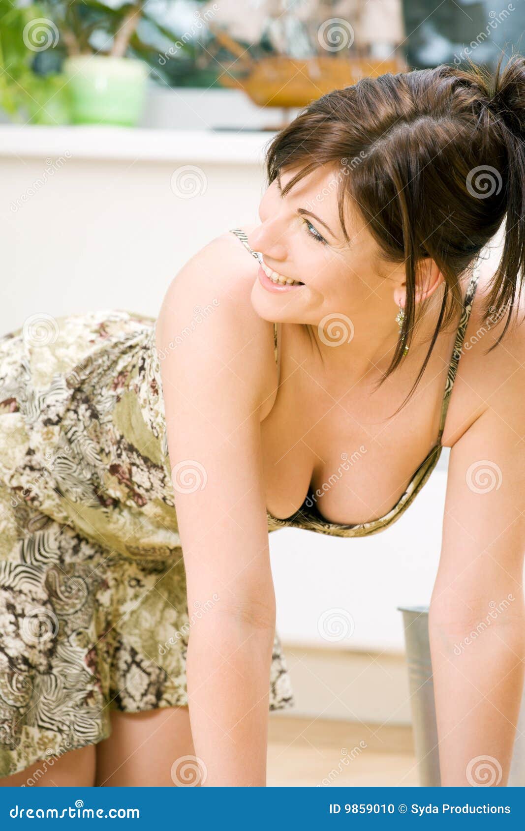 1,183 Middle Age Woman Cleaning House Stock Photos photo