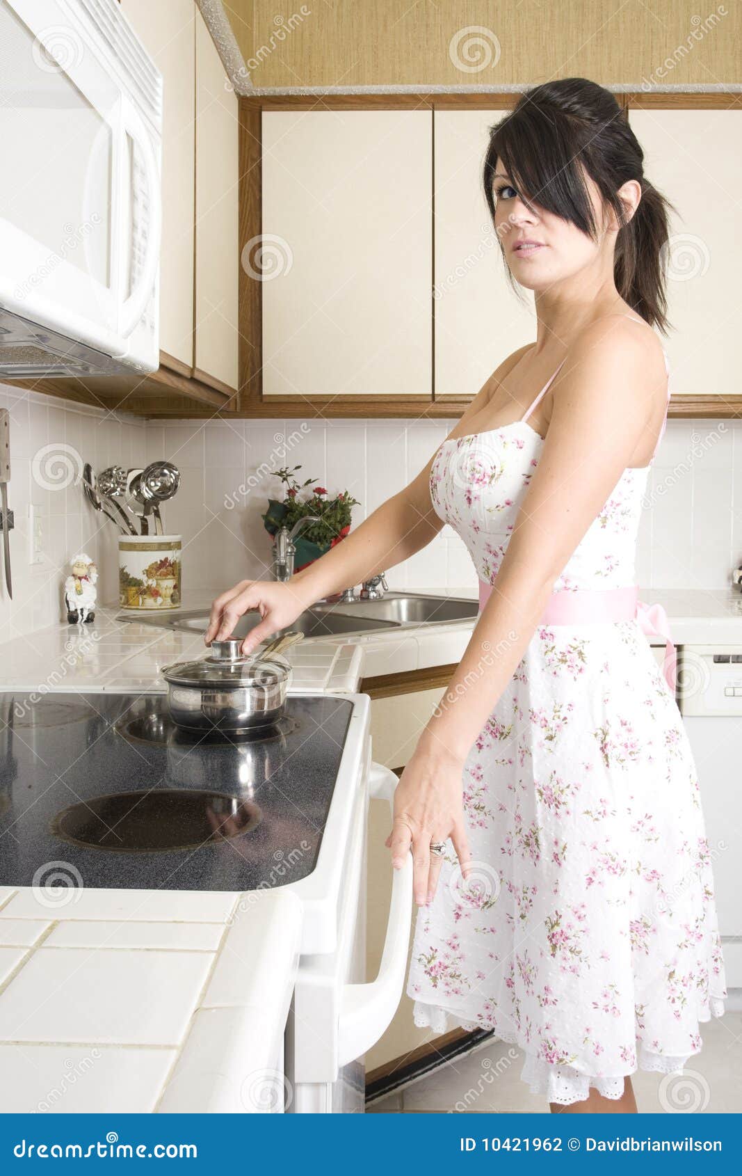 Housewife In The Kitchen Stock Photography Image