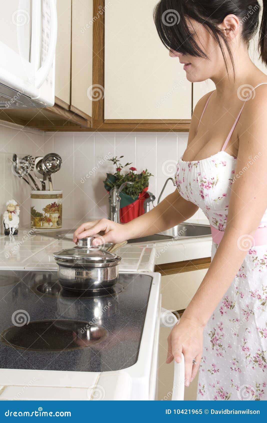 Housewife in the kitchen stock image. Image of hair, dress ...
