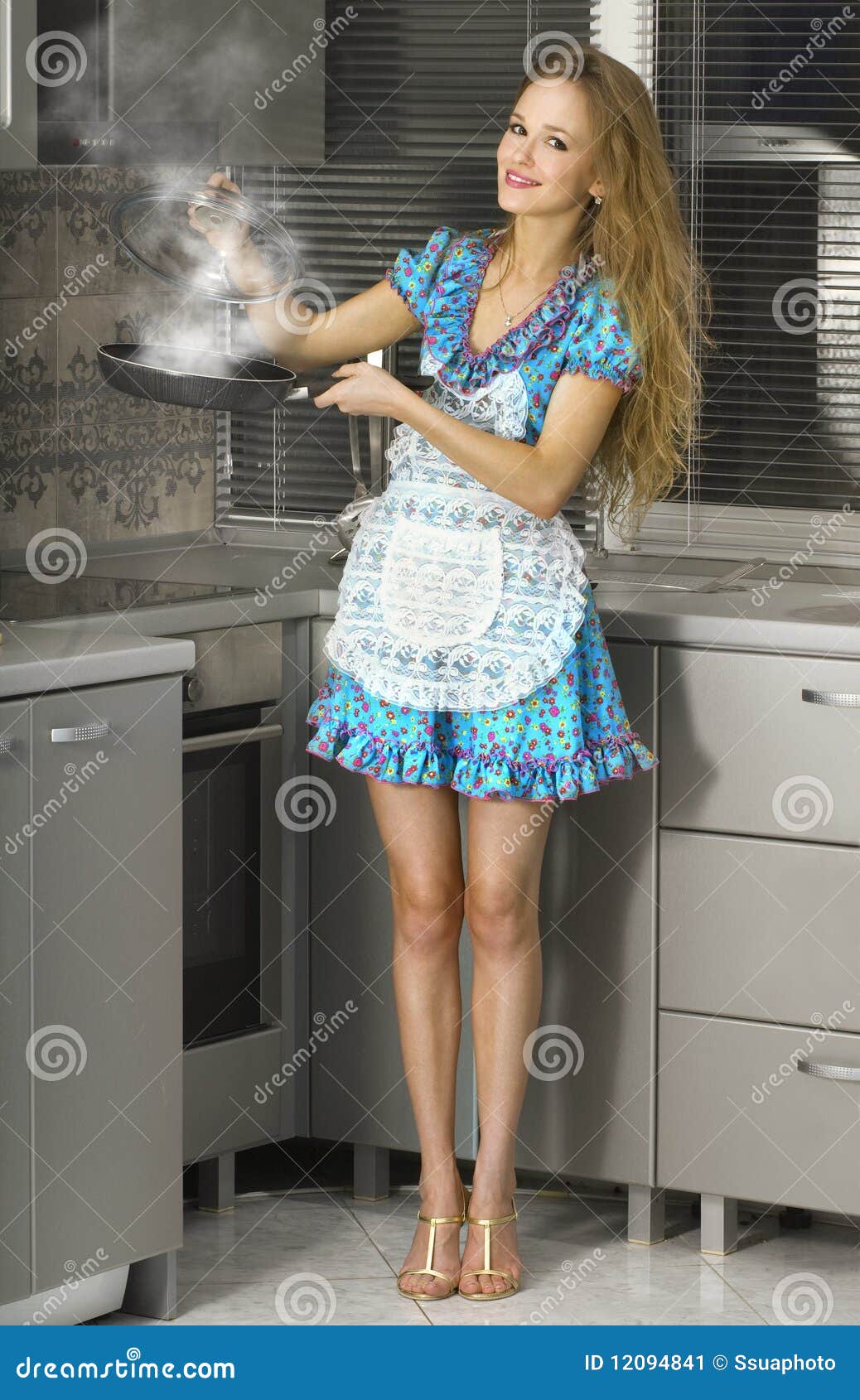 Housewife In The Kitchen Stock Image Image 1209