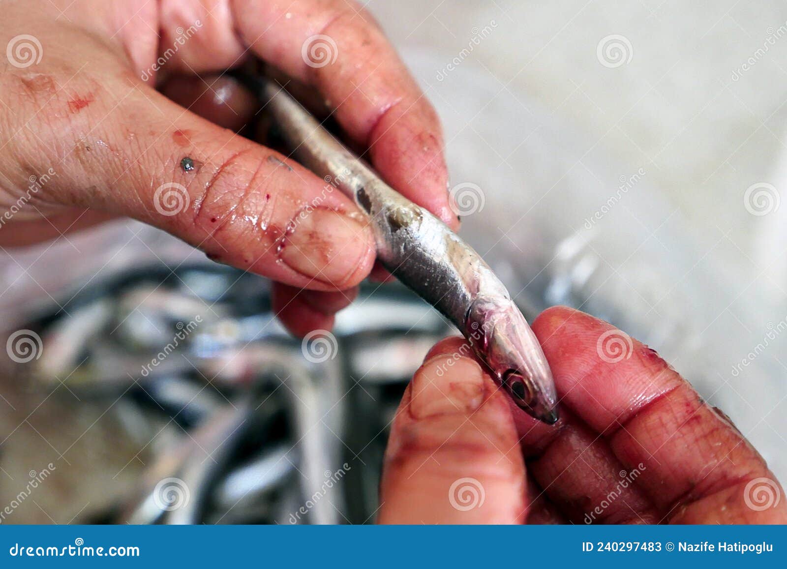 A Housewife Sorting Fish, Cleaning Fish before Cooking, a Woman