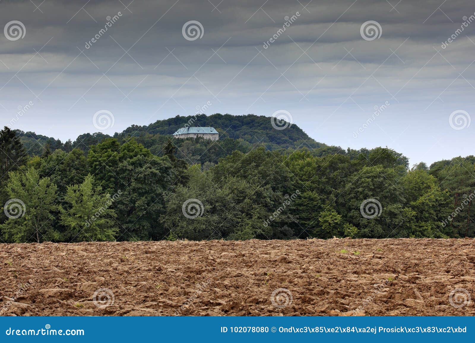 houska castle in czech republic, bohemia, europe. state caste, hiden in green forest, dark grey clouds. tower house in landscape.