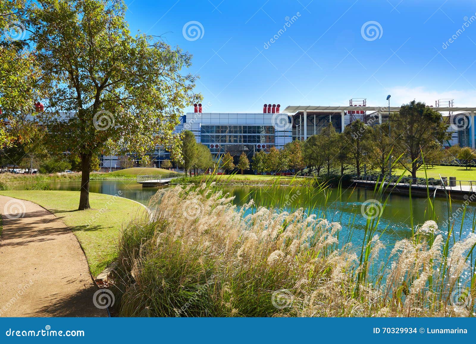 Houston Discovery Green Park in Downtown Stock Photo Image of harris