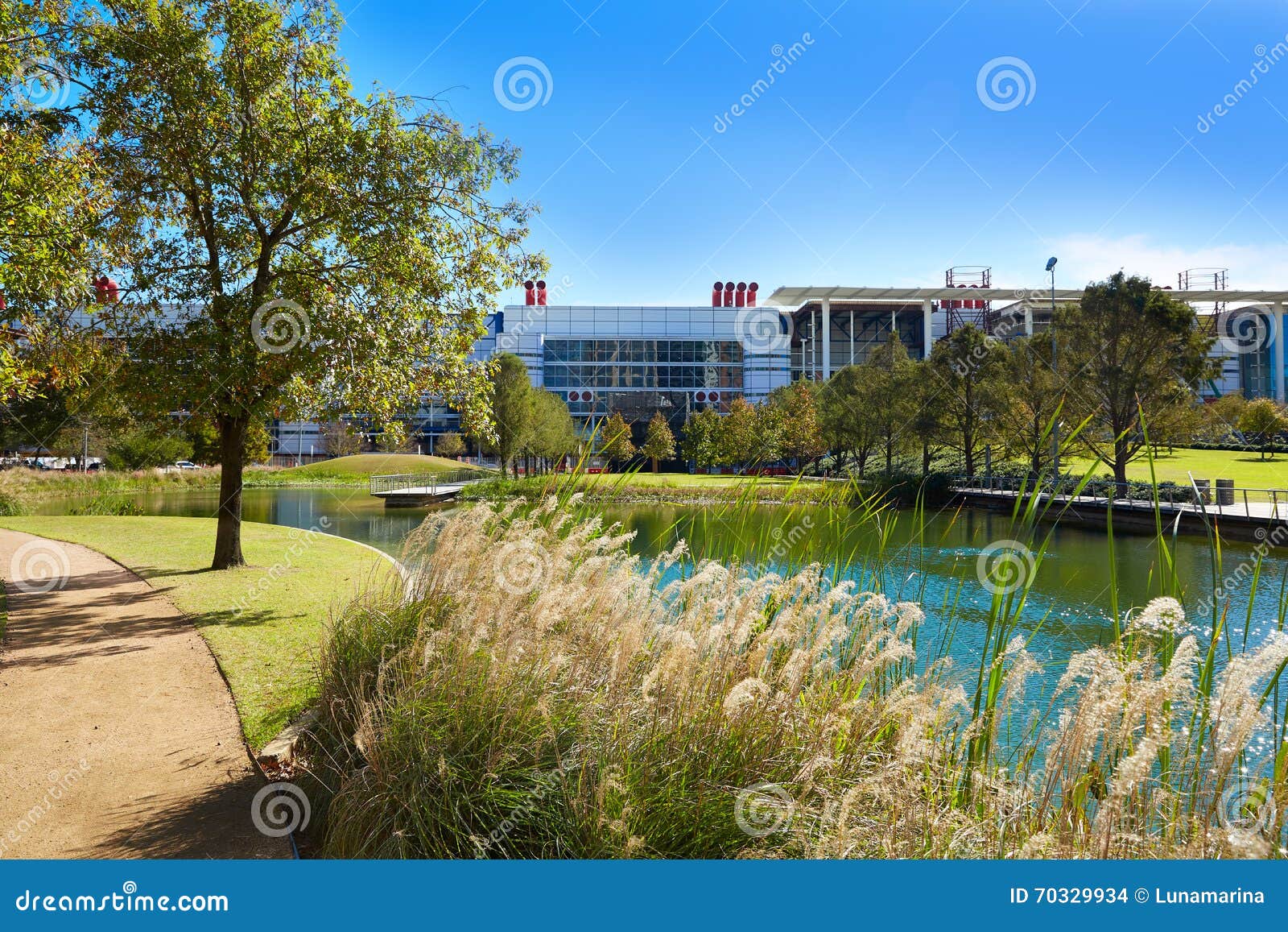 houston discovery green park in downtown