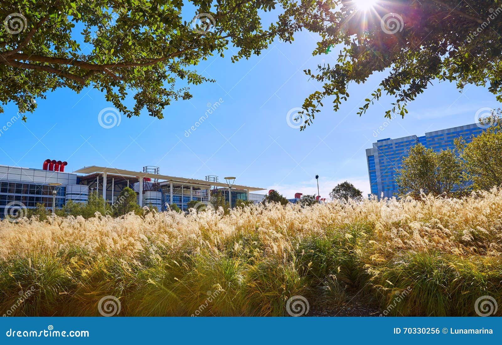 Houston Discovery Green Park in Texas Stock Photo Image of blue