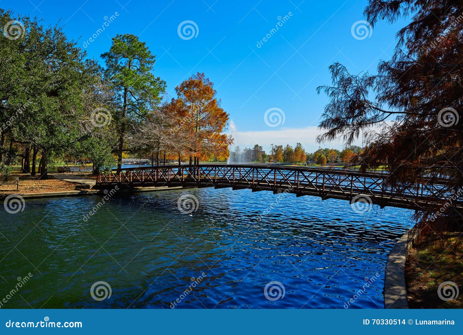 Houston Hermann Park Mcgovern Lake Stock Photo - Image of ...