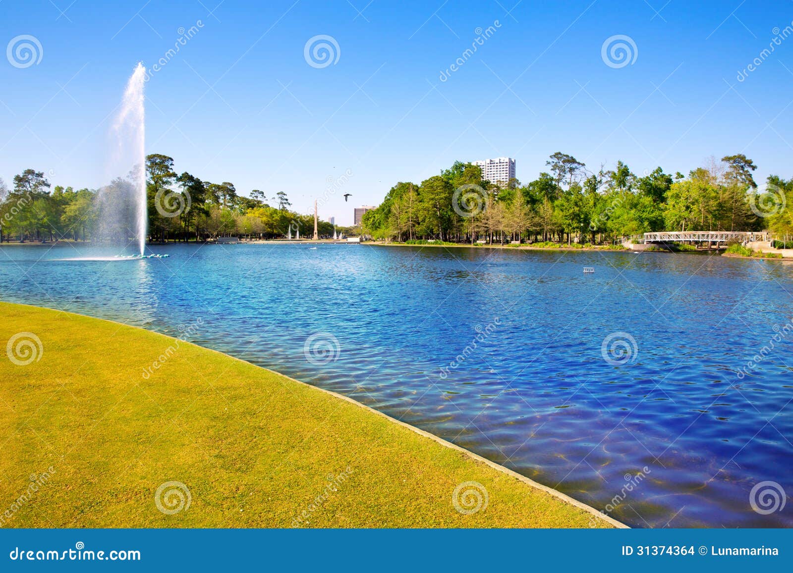 Houston Mc Govern Lake with Spring Water Stock Photo Image of