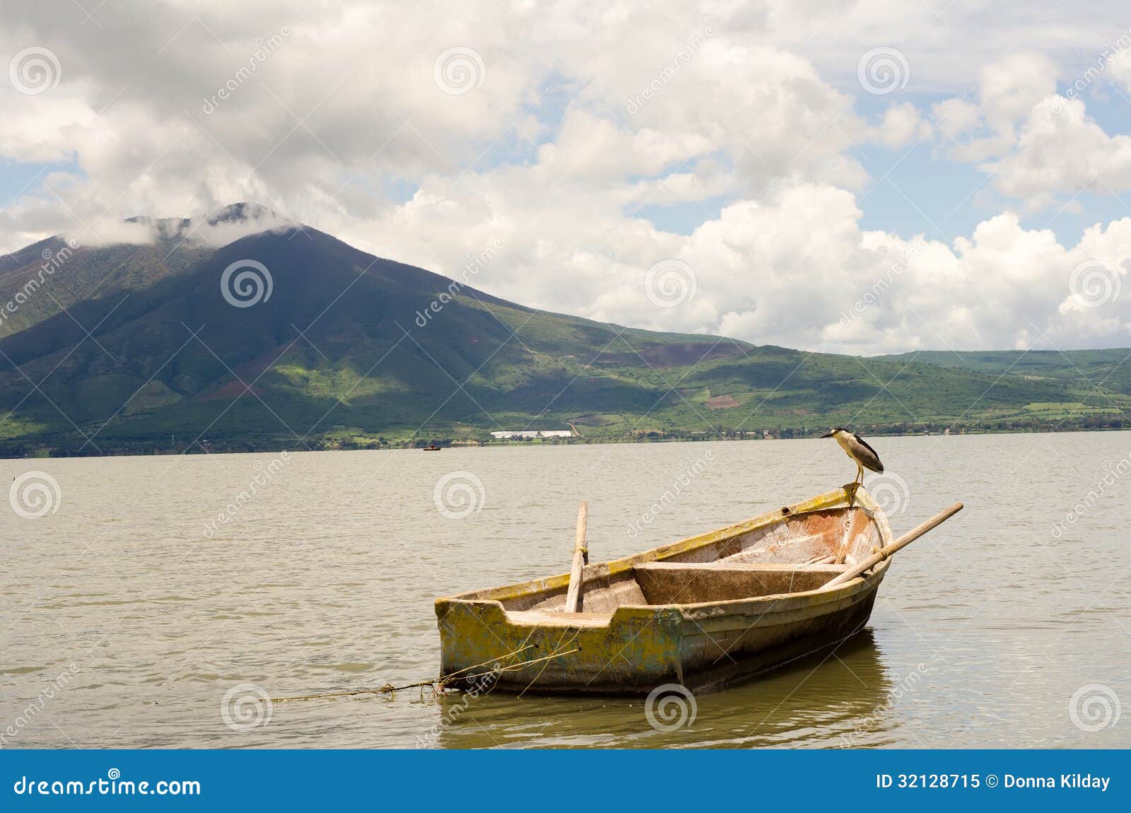 dutje wetgeving Werkgever Houten Vissersboot En Watervogels Stock Afbeelding - Image of berg, schil:  32128715