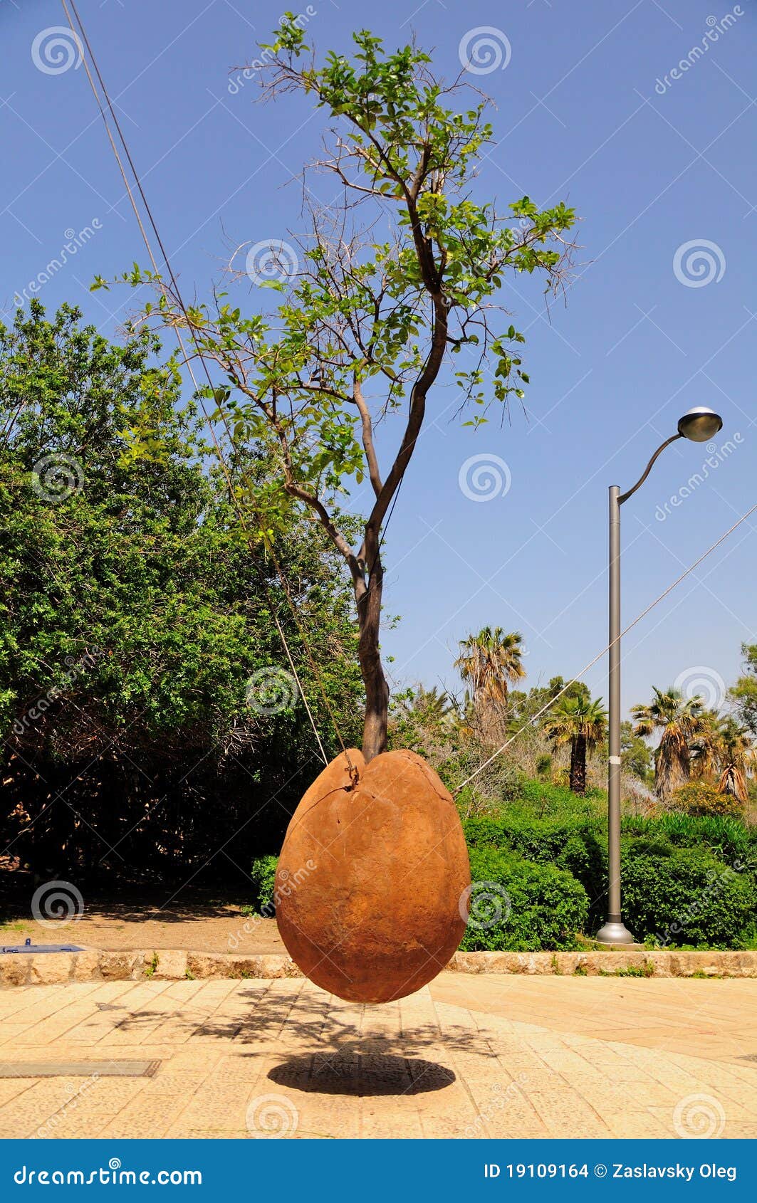 Hovering Orange Tree. Jaffa. Israel. Stock Photo Image of holyland