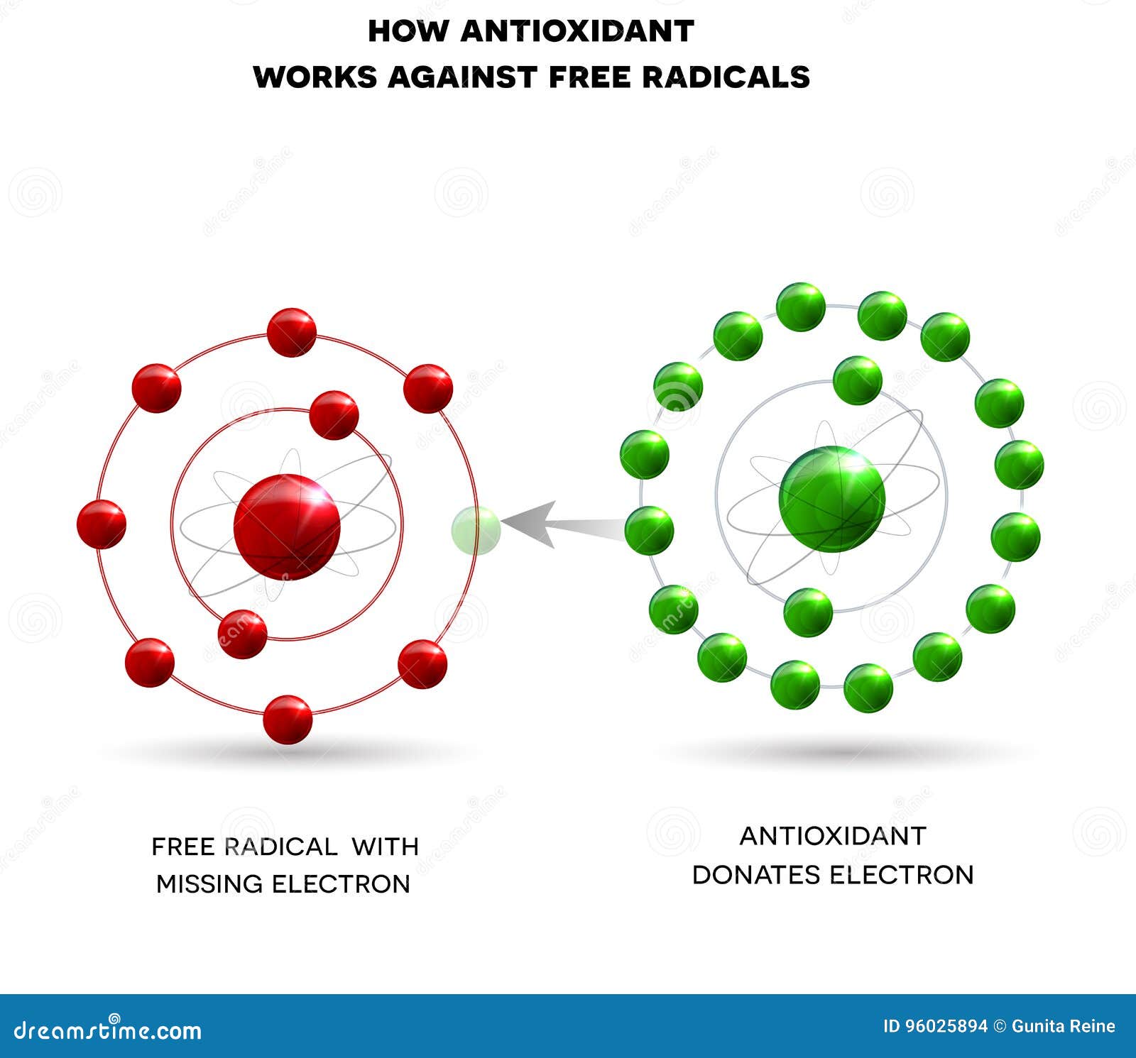 how antioxidant works