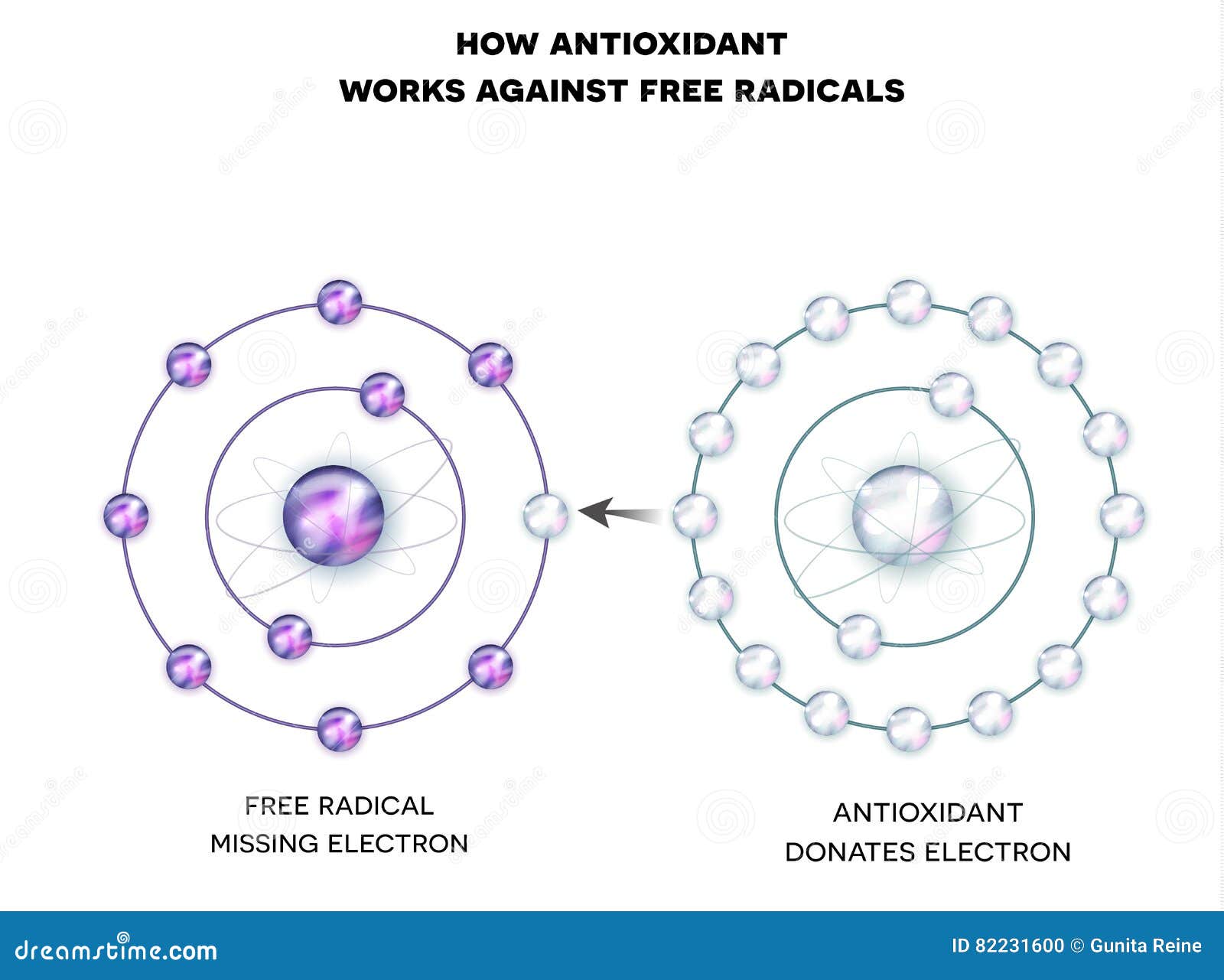 how antioxidant works against free radicals