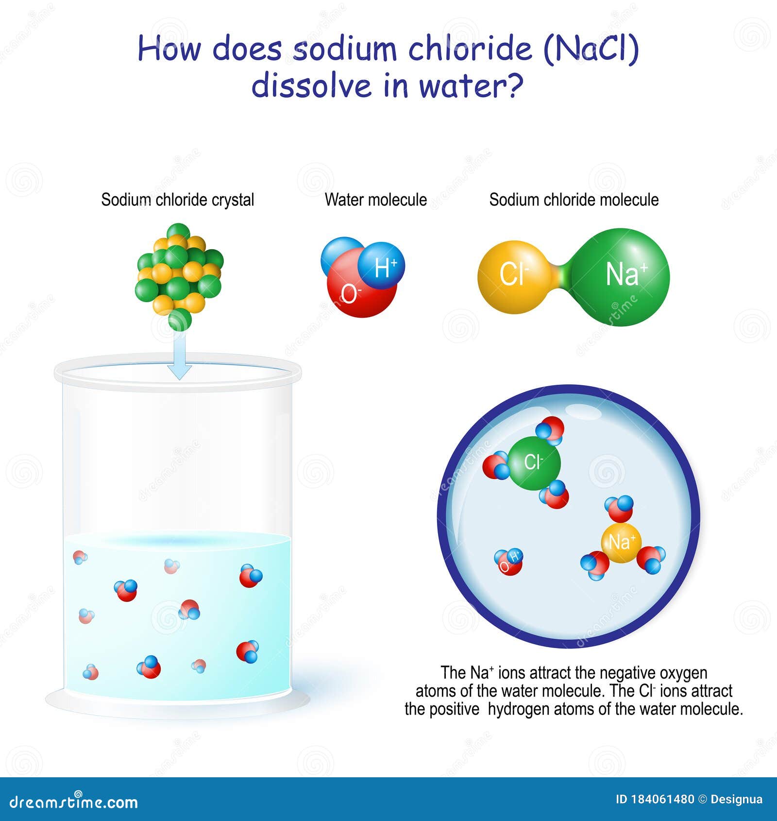how does sodium chloride nacl dissolve in water