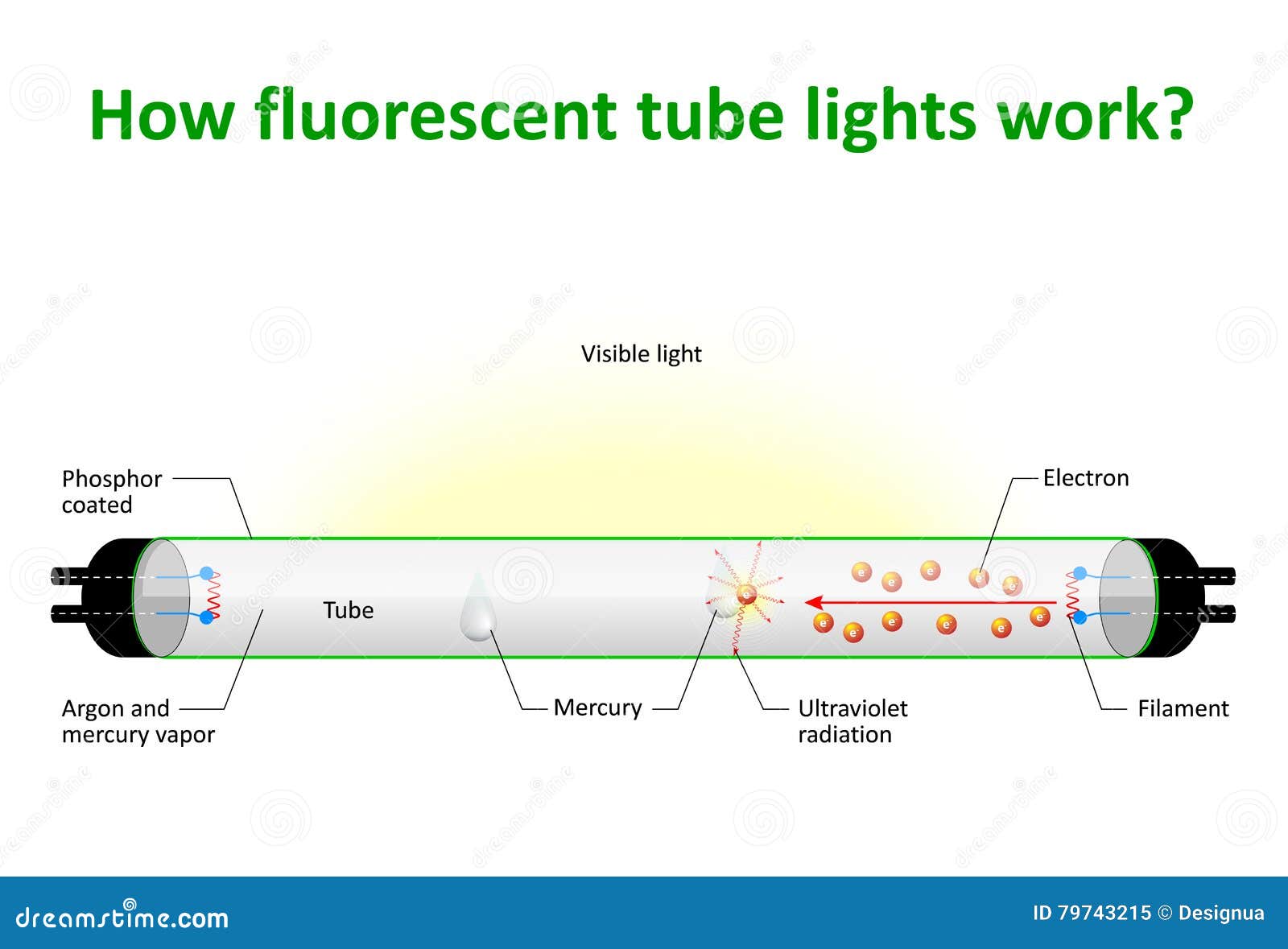 How Ultraviolet Light Works