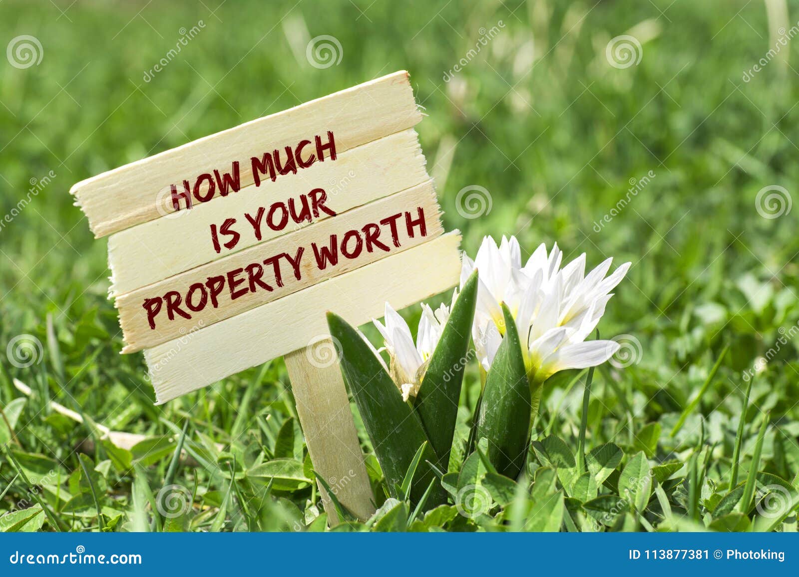 how much is your property worth