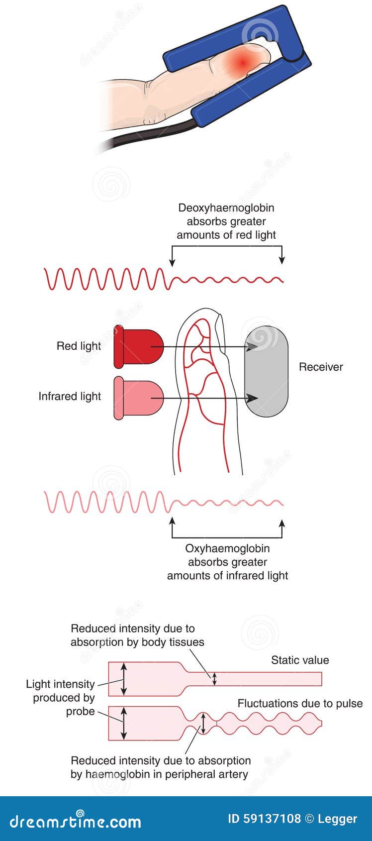 how a pulse oximeter works stock vector illustration of medicine how a pulse oximeter works