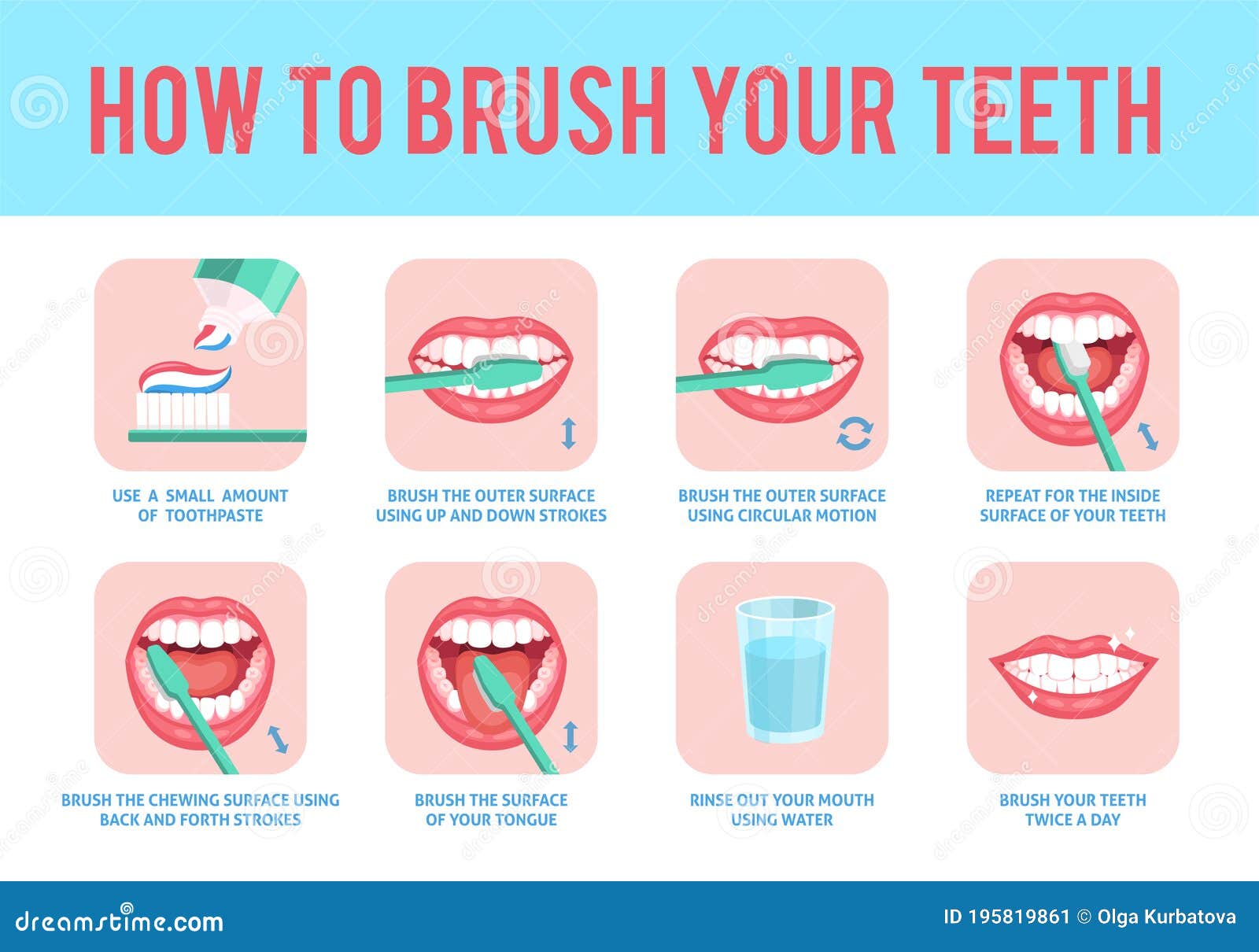 how to brush teeth. correct tooth brushing education instruction, toothbrush and toothpaste for oral hygiene dental care