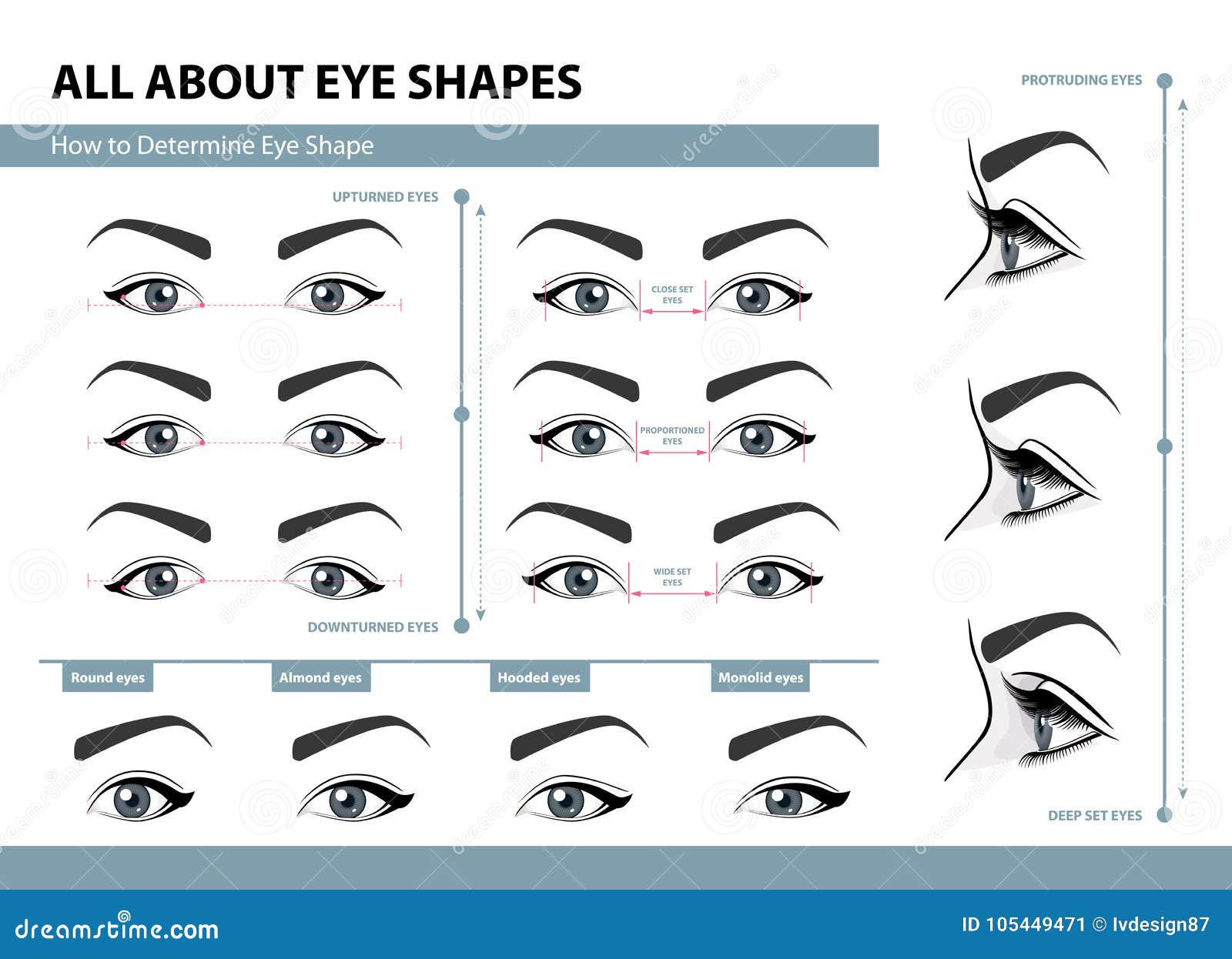 how to determine eye . various types of female eyes. set of  s with captions. template for makeup